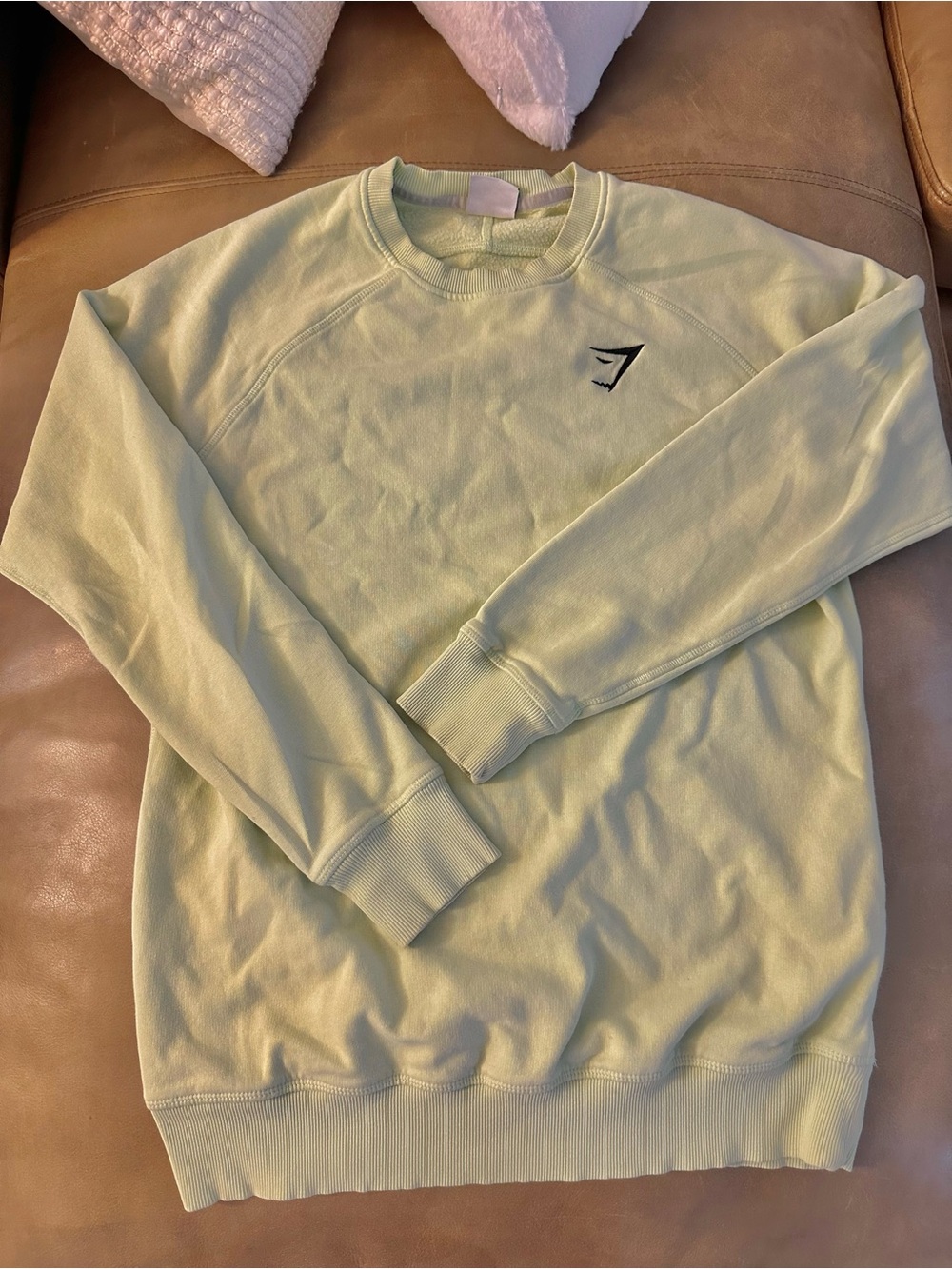 Gymshark Light Green Crewneck Sweatshirt